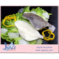 Fillzen Fish John Dory fillet